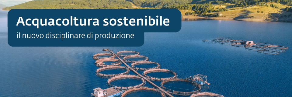 Webinar gratuito: Acquacoltura sostenibile, il nuovo disciplinare di produzione