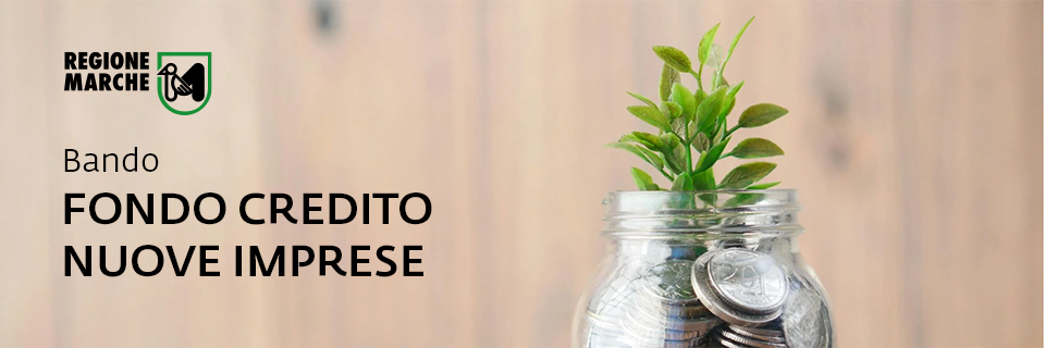 Bando Regione Marche 