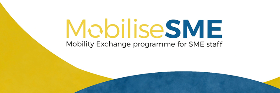 MobiliseSME: programma per l’internazionalizzazione e la mobilità del personale delle PMI