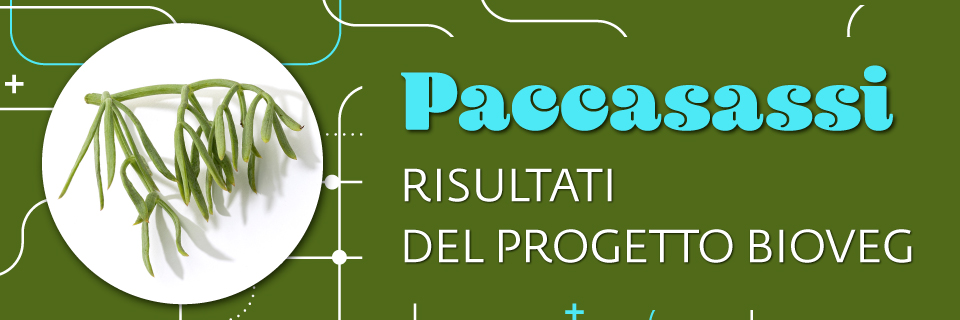 Paccasassi: i risultati finali del progetto Bioveg per la coltivazione e trasformazione in bio