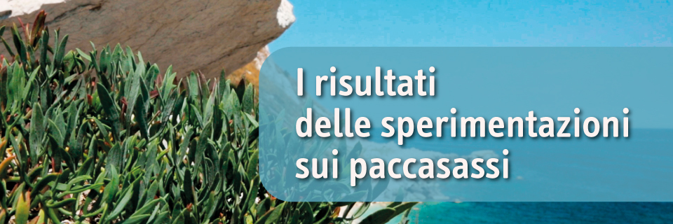 I risultati delle sperimentazioni sui paccasassi (29 giugno e 9 luglio)