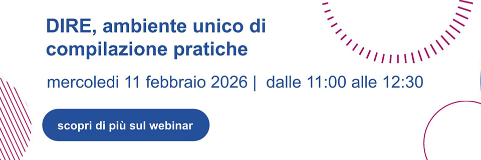 Webinar DIRE: novità per la compilazione delle pratiche