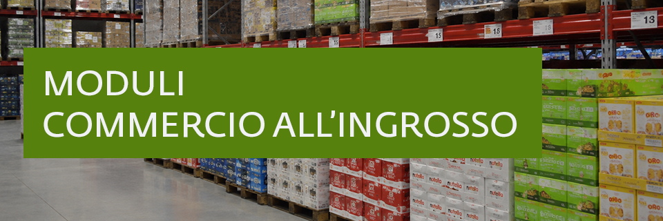 Online i modelli per l'avvio del commercio all'ingrosso