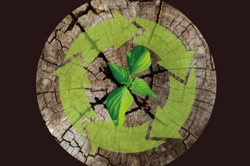 Ciclo su LCA e Certificazioni Ambientali
