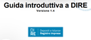 DIRE disponibile la Guida Operativa aggiornata