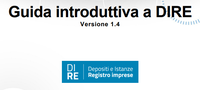 DIRE disponibile la Guida Operativa aggiornata