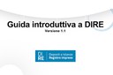 DIRE disponibile la prima Guida Operativa DIRE disponibile la prima Guida Operativa