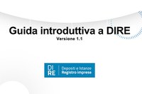 DIRE disponibile la prima Guida Operativa