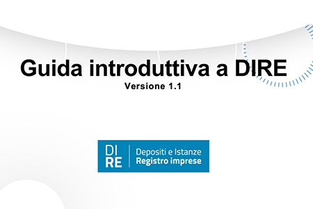 DIRE disponibile la prima Guida Operativa
