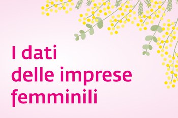 I dati delle imprese femminili nelle Marche (aggiornati a dicembre 2024)
